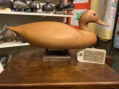 Mackey Collection Unpainted Pintail Drake Duck Decoy Wildfowler Old Saybrook • $249