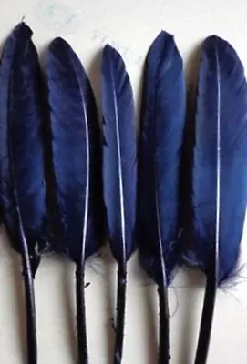 Navy Blue Small Duck Cosse Feathers 5-6  36 Pc DIY Crafts Decor Hats Millinery • $8.99