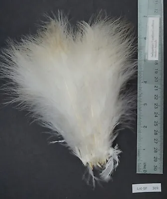 Natural Cream/White Strung Turkey Marabou Feathers Lot- SF 369 • $5.99