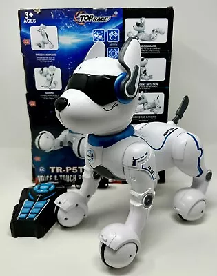 Top Race Robot Dog - TR-P5T - Robot Dog For Kids - Remote Control Robot Pet Toy • $39.99