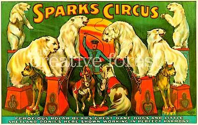 SPARKS CIRCUS Vintage Circus Poster Paper ART PRINT 36x24 In. • $55.03