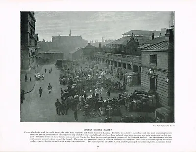 Covent Garden Flower And Vegetable Market Antique Picture Print Old 1896 TQL279 • £5.99