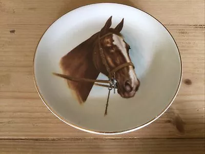 Liverpool Rd Pottery Horse Ornamental Plate • £2.99