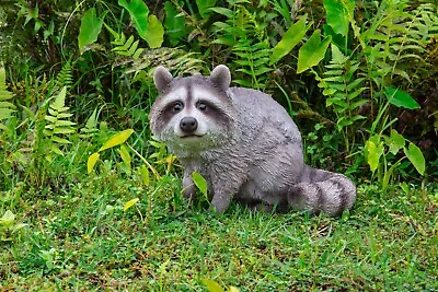 Raccoon Garden Statue Lodge Decor Display Backyard Animal Home Ornament • $69.59