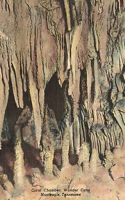 Vintage Postcard 1930's Coral Chamber Cavern Wonder Cave Monteagle Tennessee • $9.89