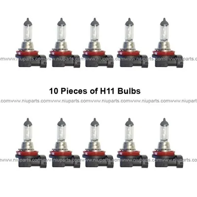 10 Pieces Pack - H11 Halogen Bulb Light - 55W White • $33