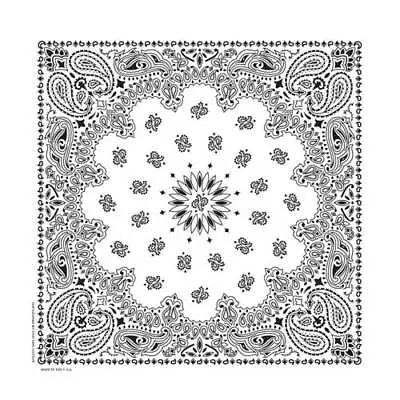 Hav-A-Hank USA Made 100% Cotton Paisley Bandannas Bandanas 22 X22  • $1.99