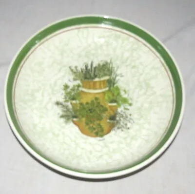 Himark Italy Pasta Serving Bowl 13” Presley Botanical. Various Herbs • $17.97