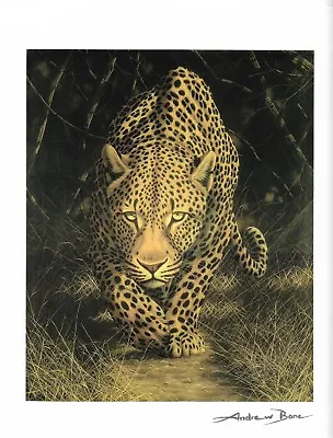 Lithograph Signed Andrew Bone Silent Stalker Seriolithograph With C Of A • $12.84
