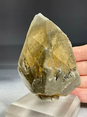 SS Rocks - Calcite (Chicago-Elmhurst Stone Quarry Elmhurst Illinois) 197g • $275