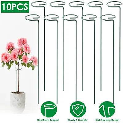 10PCS 10  16  Plant Stake Support Garden Flower Veg Stakes For Orchid Lily Rose • $14.94