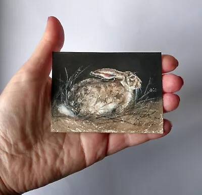 Original Not A Print ACEO Watercolour Miniature Signed. Hare .Collectable. • £8