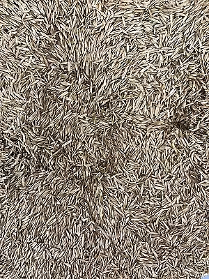 £2.25 • Buy Johnsons Grass Lawn Seeds - 100g Bag /  New Lawns Or Repatching