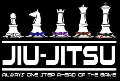 Brazilian Jiujitsu Stickers Lot Of 4 - Chess Logo BJJ MMA UFC Decals • $1.99