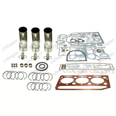 Massey Ferguson 20 Early 40 2135 Late 203 Engine Overhaul Kit Perkins AD3.152 • $238.37