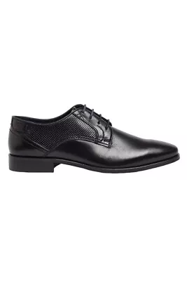 POD Denver Leather Shoes For Mens In Black 6 To 15 • $263.51