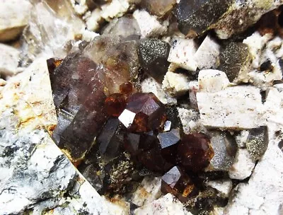 12.2cm 376g GEM Garnet&Smoky Quartz&Mica Crystal Mineral Specimen • $18.99