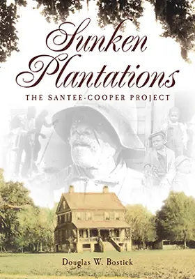 Sunken Plantations South Carolina Lost Paperback • $14.29