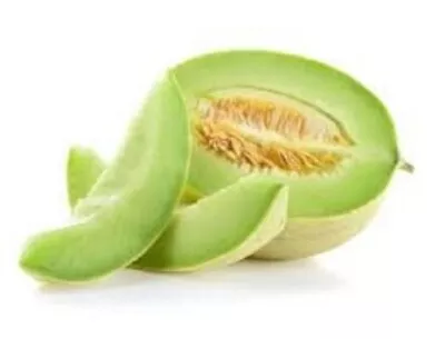 Premium Green Flesh Honeydew - Fresh Heirloom Seeds - Most Popular Variety Ever! • $1.99