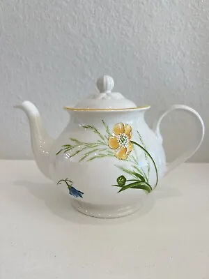 Villeroy & Boch 1748 Teapot MY GARDEN 4 Cup Clover & Flower Pattern Retired NWT • $149