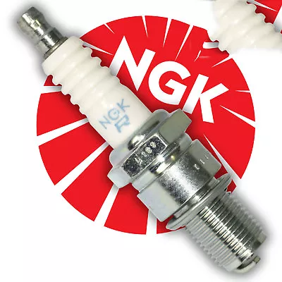 Genuine NGK Spark Plug KTM 50 Adventure Mini Junior Senior 19mm Thr. Reach 2006 • £12.75