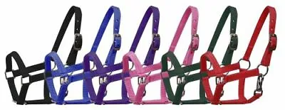 BLACK GREEN PINK PURPLE RED Nylon Adj Halter W Clip MINI Horse Or PONY 5946 • $10.95