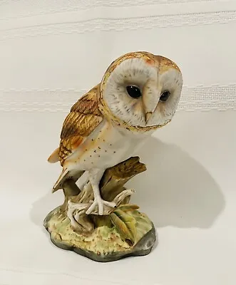 Vintage The Chancery Collection-Barn Owl Porcelain By MARURI - Hand Painted • $36