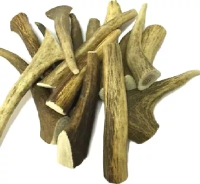 £8.49 • Buy ANTLER Nova Dog Chews Scottish Highland Stag Horns Deer Pet Long Last Feed Bars