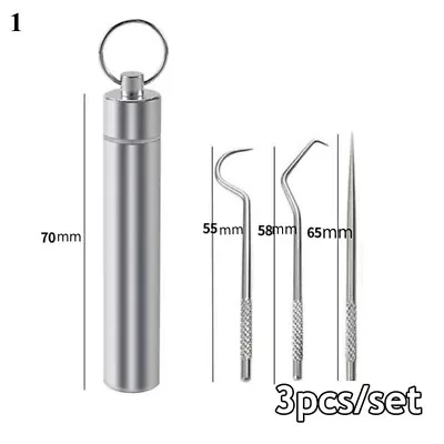 Toothpick Set Metal Stainless Steel Oral Cleaning Tooth Flossing Portable Floss+ • $1.82