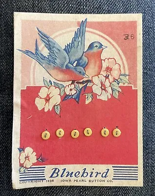 Vintage Bluebird Buttons Carded Bluebirds Graphic 6 Yellow Tiny Barbie Size NOS • $15.50