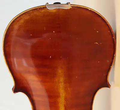 Old Vintage Violin 4/4 Geige Viola Cello Fiddle Label POLLASTRI GAETANO Nr. 1778 • $504.04