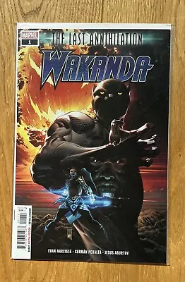 Last Annihilation Wakanda #1 Marvel Comics 2021 • $2.95