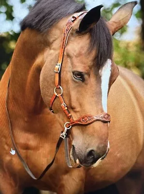 New FR Equestrian Maddy Sidepull Side PullBitless Bridle Cob/Small Horse Size • $99