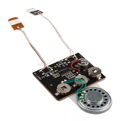 30s DIY Card Recordable Voice Chip Music Box Sound Module Musical Board Speaker • $3.06