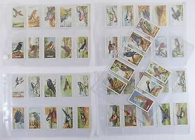 Full Set British Birds Gallaher Cigarette Card Series 48 Cards. • £20