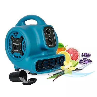 XPOWER P-260AT Mini Scented Air Mover Carpet Dryer Utility Fan Blowing 800 CFM • $147