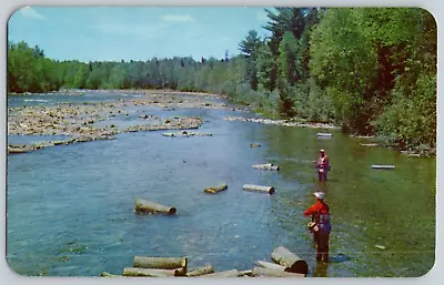 $6.95 • Buy Vintage Postcard~ Fly Fishing Moosehead Lake~ Between Greenville & Rockwood, ME