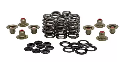 High Performance Ovate Wire Valve Spring Kit Harley M8 2017-2022 .465  Lift • $257.45