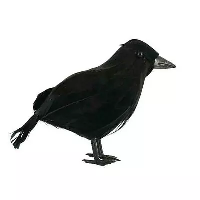 Crow Bird Black Ravens Fancy Dress Prop Home Decor Feather Halloween~~ • £1.76