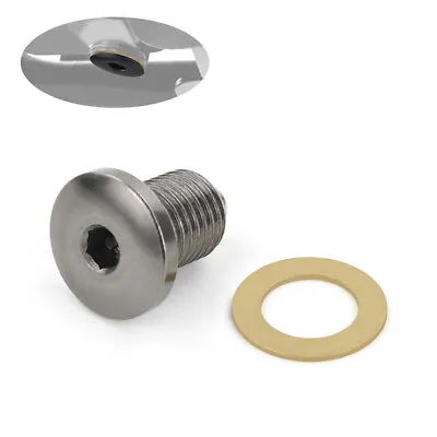 Motor Magnetic Engine Screw Aftermarket Fit For Kawasaki ZR550 ZRX1200 Titanium • $8.97