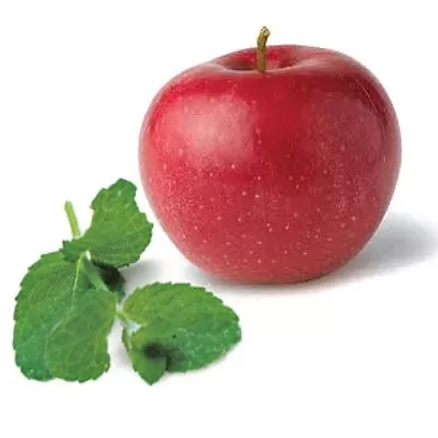 Apple  Mint  *  1000 Seeds * Herb * Medicinal * Aroma *butterfly Mag • $3.69