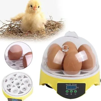 Digital Egg Incubator 7 Eggs Manual Turning Poultry Chicken Duck Hatcher UK PLUG • £24.99