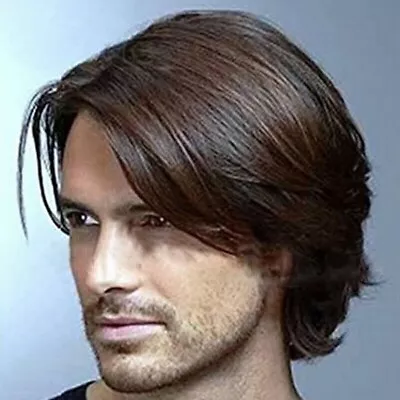 Handsome Men Natural Short Wig Dark Brown Straight Synthetic Hair Cosplay Wigs • $17.27