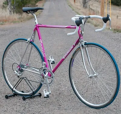 Vintage 59cm Tommasini Sintesi ROADBIKE Columbus Campagnolo Corsa Record Bicycle • $4400