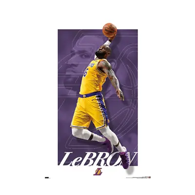 $10.50 • Buy LEBRON JAMES - LOS ANGELES LAKERS POSTER - 22x34 - 21467