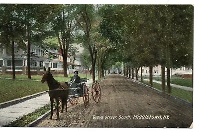 Middletown NY Grove Street South Orange County 1909 • $1