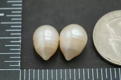 $10.70 • Buy Loose Baroque Pearls,16ct Undrilled (Natural Australia South Sea Saltwater)ssc43