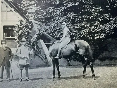 1894 Vintage Magazine Illustration Race Horse Ladas • $19.99