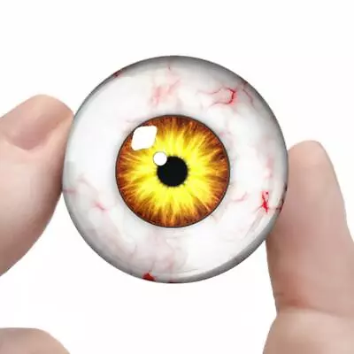 Large Monster Eyes Yellow Glass Taxidermy Eyeball Craft Set 35mm • $14.99