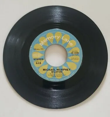 Rock 45 Michael Murphey - A Mansion On The Hill / Wildfire On Memory Lane Record • $8.10